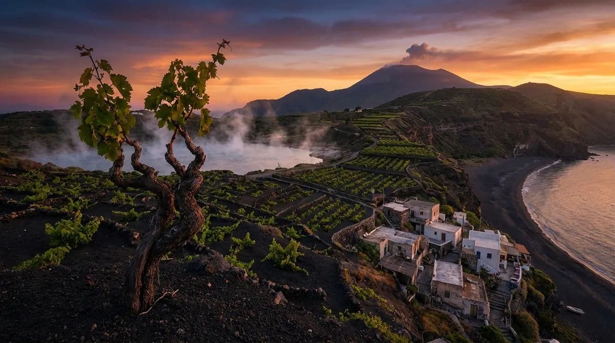 Volcanic Soil and Memory: How Eruptions Shape Cultures