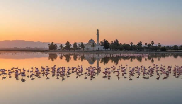 Hala Sultan Tekke: One of Islam's Holiest Sites