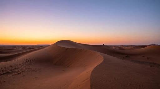 The Desert Teaches Patience: Listening to Silence in the Sahara